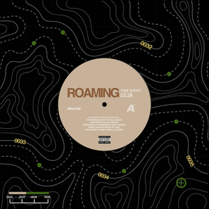 Roaming