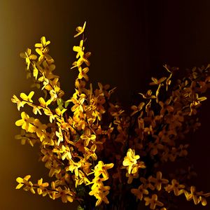 新手村的小番薯