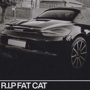 R.I.P. FAT CAT