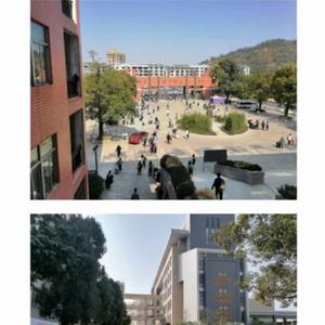 你和夏天（demo）