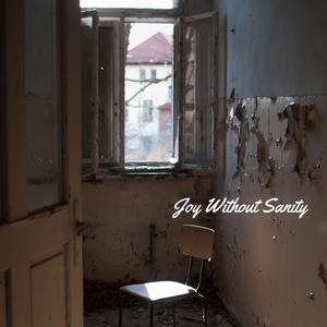 Joy Without Sanity