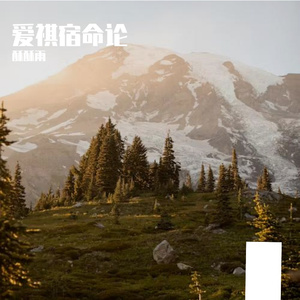 漂流瓶的梦幻海洋之旅