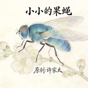 小小的果蝇