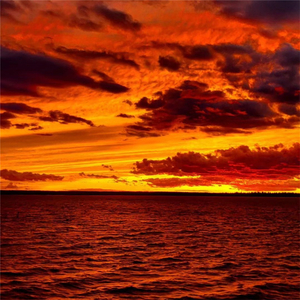 人生有物缘 参合甚符券