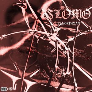 slomo (feat. northxan)
