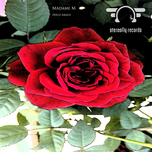 Disco Amigo (Original Mix)