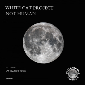 Not Human (DJ PIZZINI Remix)