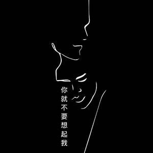 你就不要想起我