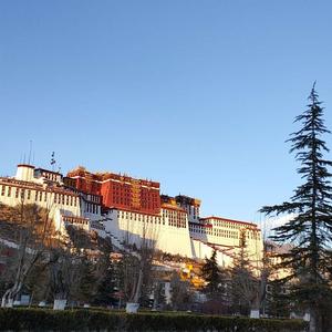 风吹雨打知生活，苦尽甘来懂人生，生活甜不甜我就不知道了，但苦是真的苦。