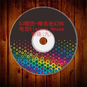 精选迷幻纯电音Electro House串烧(九)