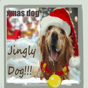 jingly dog