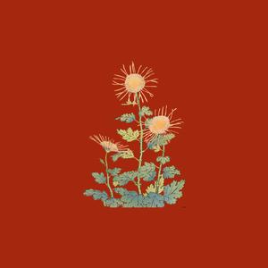 愛されたいだけ