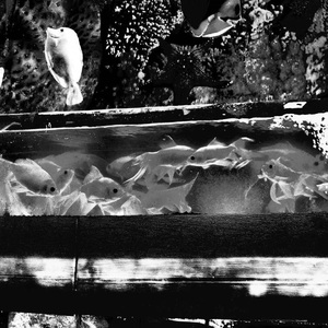 别集（Another Story）