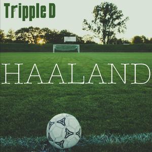 Haaland