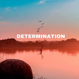 Determination (feat. B.Rose)