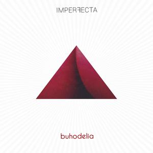 Nunca lo sabremos (Live Session)