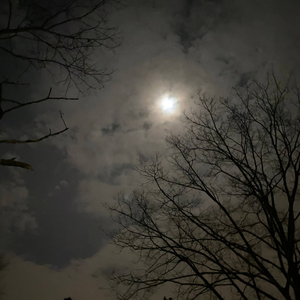 The Light (feat. Sogimura)