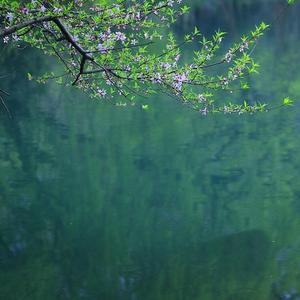 青玉案·凌波不过横塘路