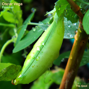 Forever (Original Mix)