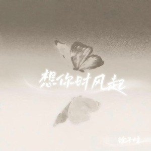 想你时风起（2025）