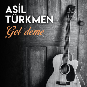 Sevdim Bir Üzeni