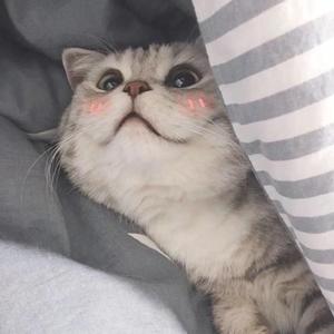 心如止水无修音版