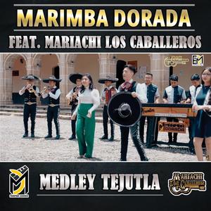 Tejutla (feat. Mariachi Los Caballeros)