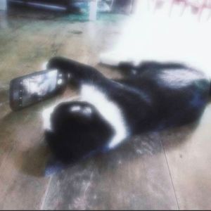 无论在哪里我都像被困住