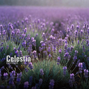 Celestia
