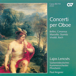Oboe Concerto in B-Flat Major:II. Andante moderato