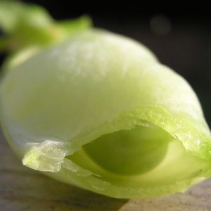 贝加尔湖畔