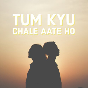 Tum Kyu Chale Aate Ho