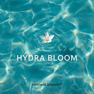 Hidra Bloom