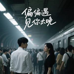 偏偏遇见你太晚 伴奏