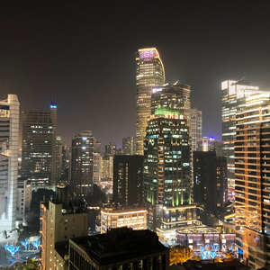 The Greenwich Village