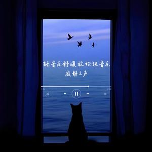 寂静之声：雨夜的叹息