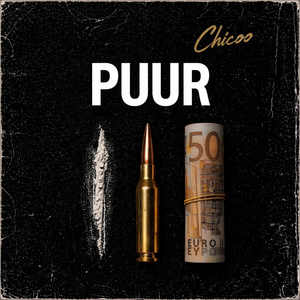 PUUR