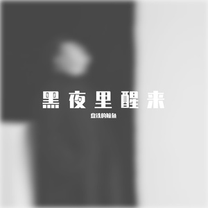 黑夜里醒来