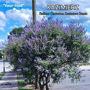Your Fool (Stefano Centurion Kazimierz Remix)