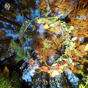 Круговорот