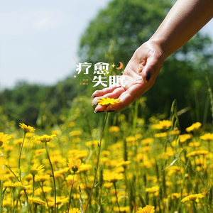 安心安神（助眠曲）