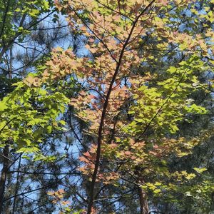 你男人换了一个又一个