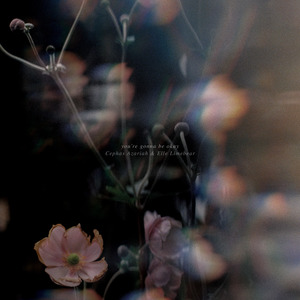 you're gonna be okay