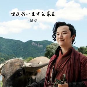 你是我一生中的最爱