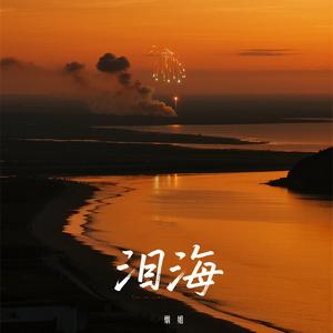 泪海 (女声烟嗓版)