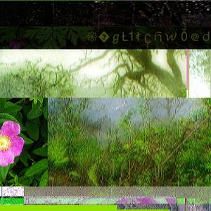 foxglove