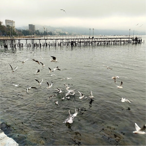 Просто живи