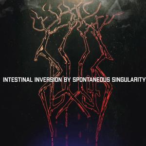 Intestinal Inversion by Spontaneous Singularity