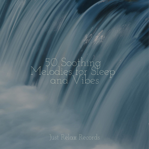 Vivid Visions Within