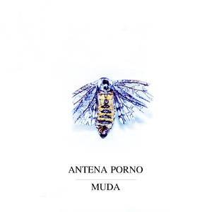 Corriendo al Preludio